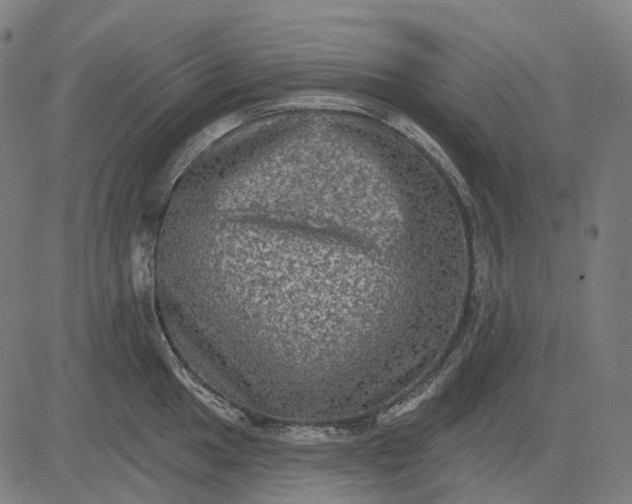 X0000082711049200702091743