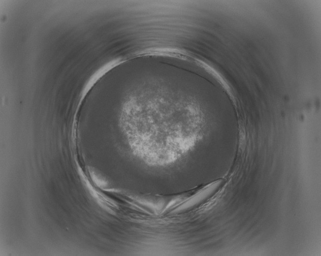 X0000082711050200702091743