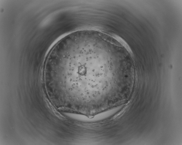 X0000082711052200702091743