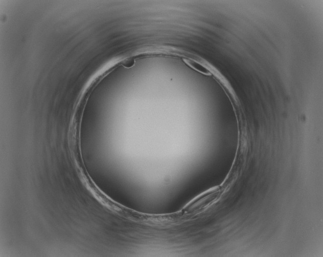 X0000082711053200702091743