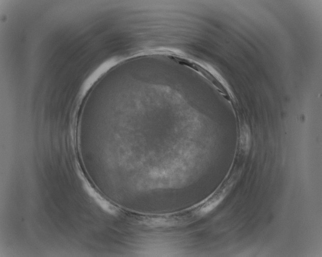 X0000082711054200702091743