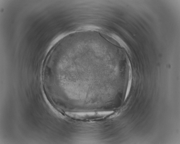 X0000082711055200702091743