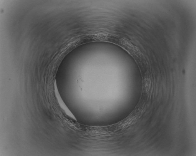 X0000082711057200702091742