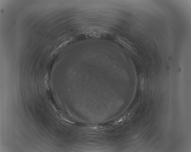 X0000082711060200702091742