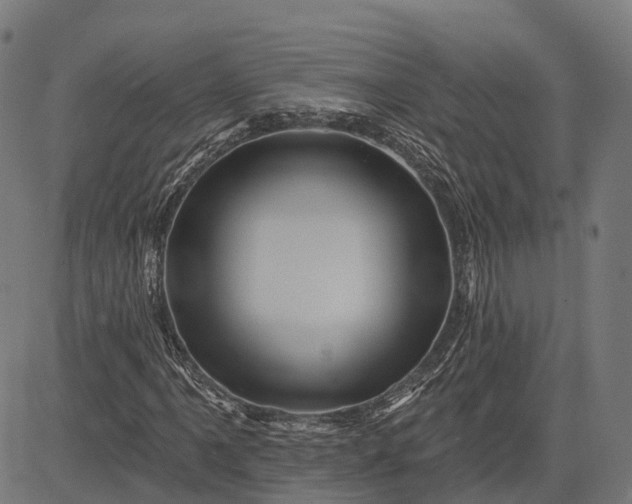 X0000082711061200702091742