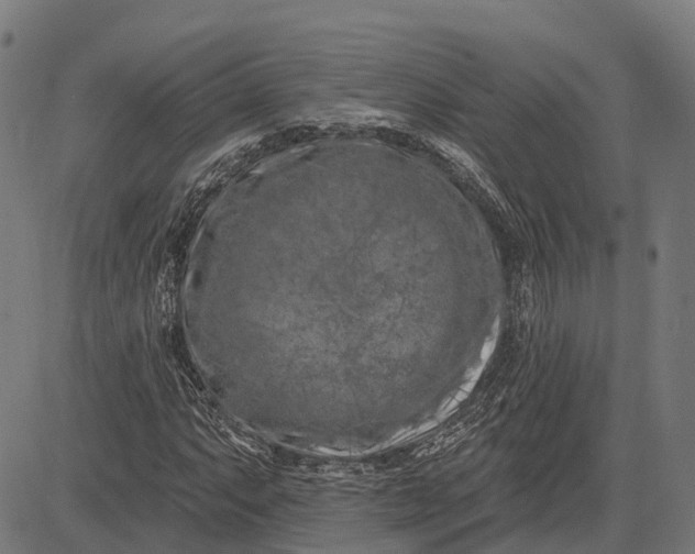 X0000082711063200702091742