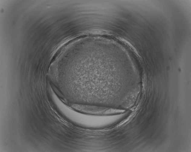 X0000082711065200702091742