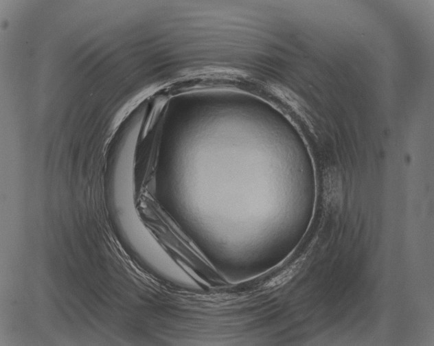 X0000082711066200702091742