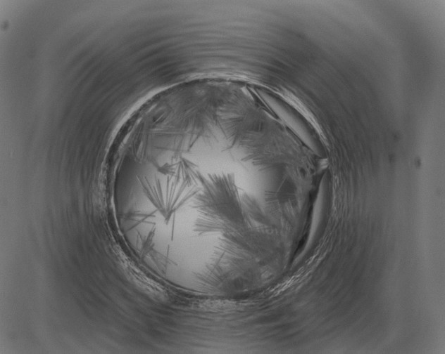 X0000082711068200702091742