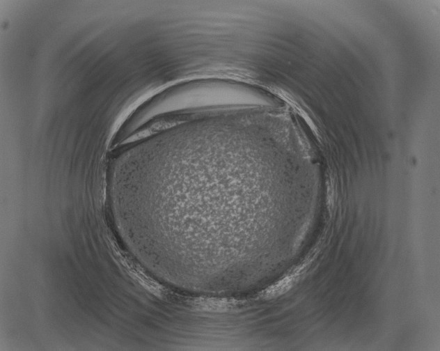 X0000082711069200702091742