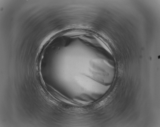 X0000082711070200702091742