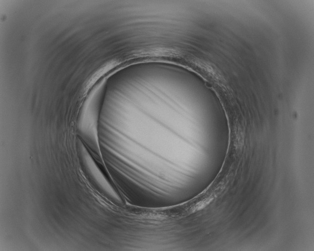 X0000082711073200702091742