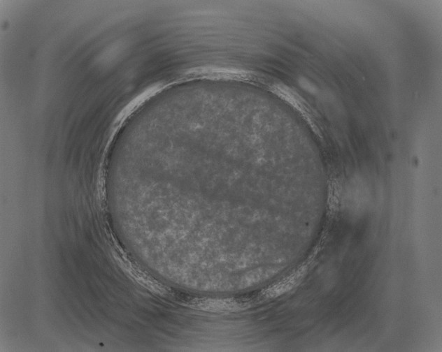 X0000082711074200702091742