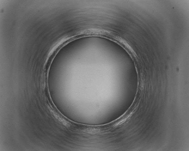 X0000082711075200702091742