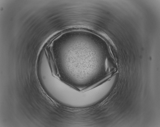 X0000082711076200702091742