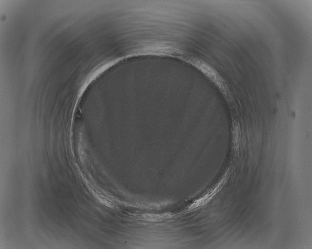 X0000082711077200702091742