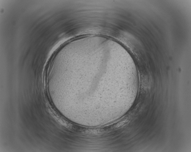 X0000082711078200702091741