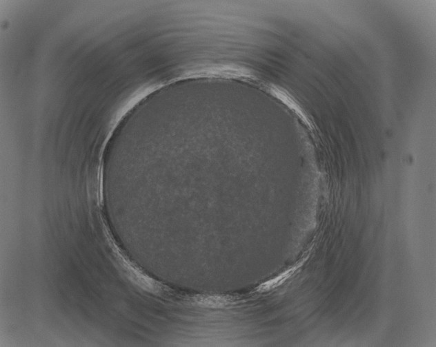 X0000082711079200702091741