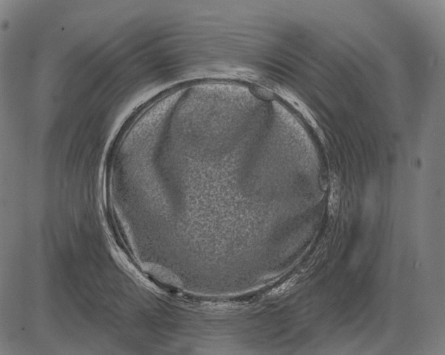 X0000082711080200702091741