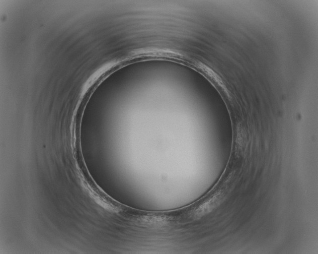 X0000082711082200702091741