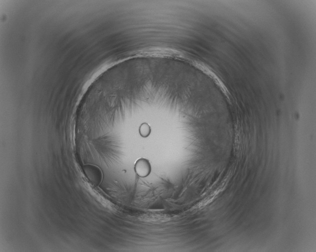 X0000082711083200702091741