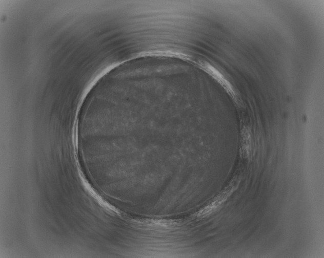 X0000082711084200702091741