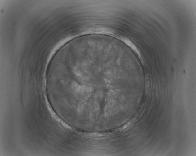 X0000082711088200702091741