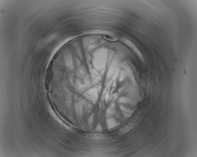 X0000082711092200702091741