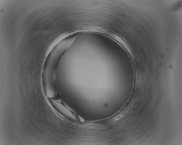 X0000082711093200702091741