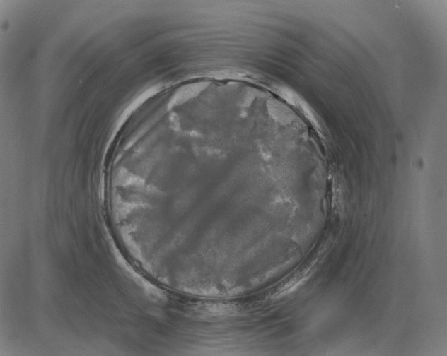 X0000082711095200702091741