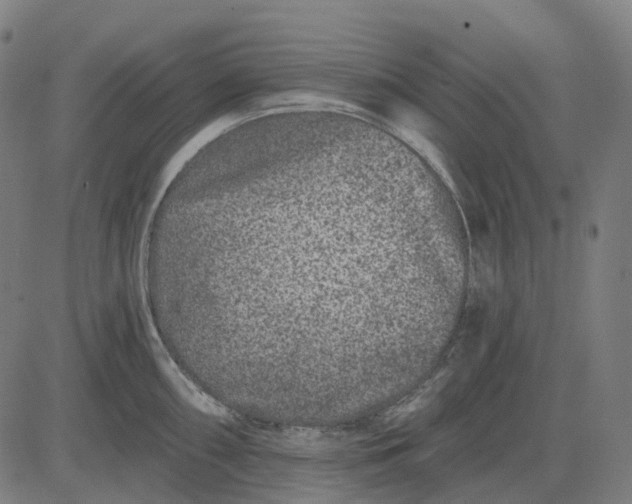 X0000082711098200702091741