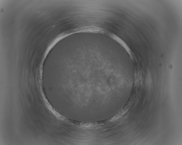 X0000082711099200702091741