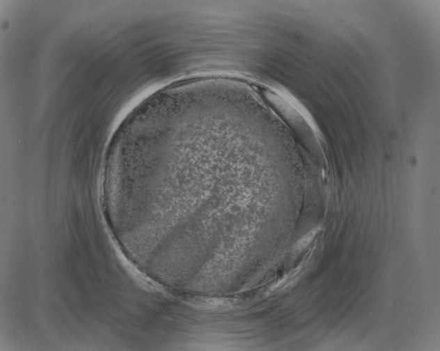 X0000082711101200702091741