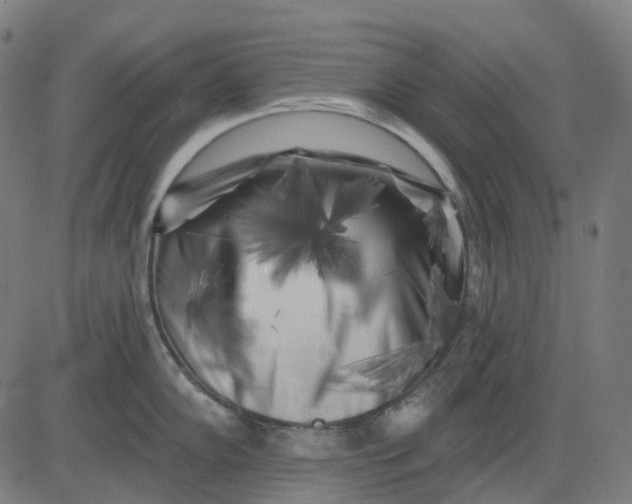 X0000082711102200702091741