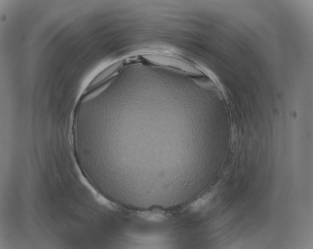 X0000082711103200702091741