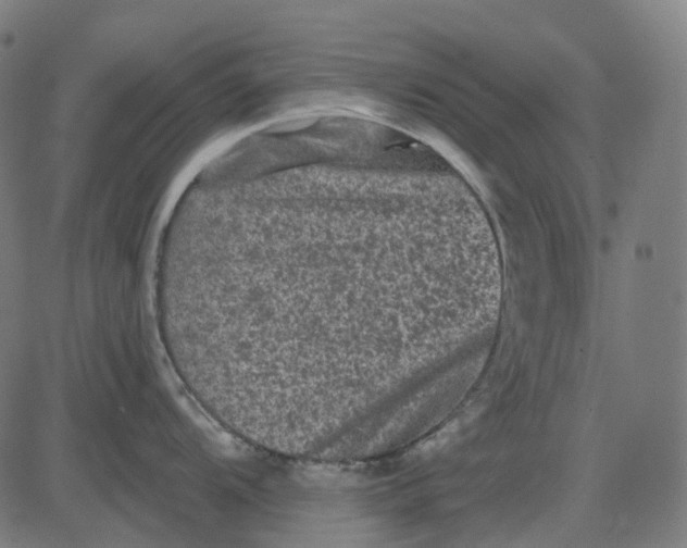 X0000082711104200702091741