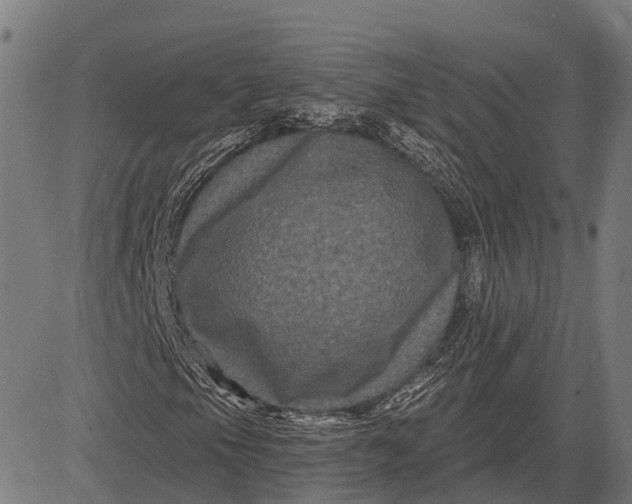 X0000082711105200702091740