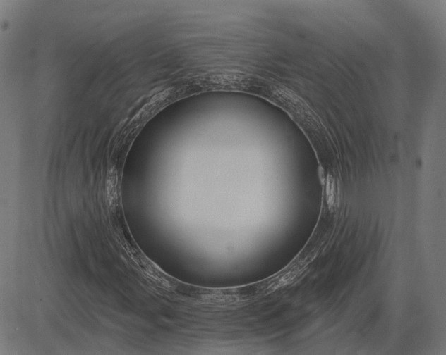 X0000082711107200702091740