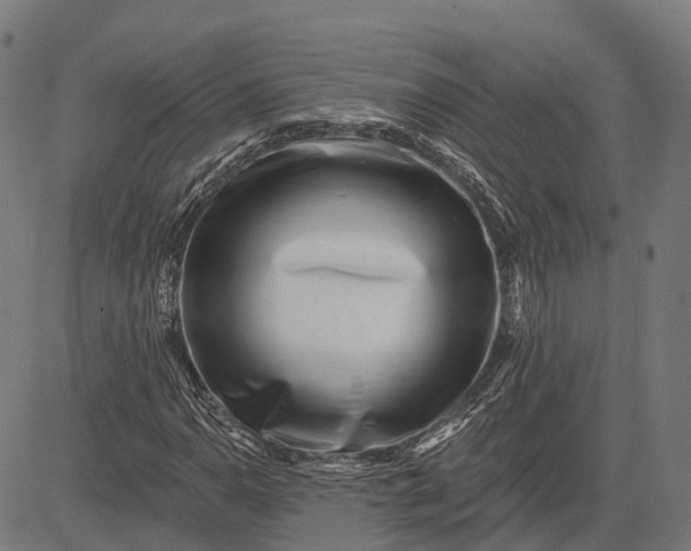 X0000082711110200702091740