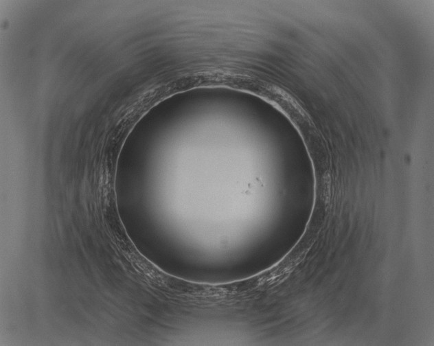 X0000082711111200702091740