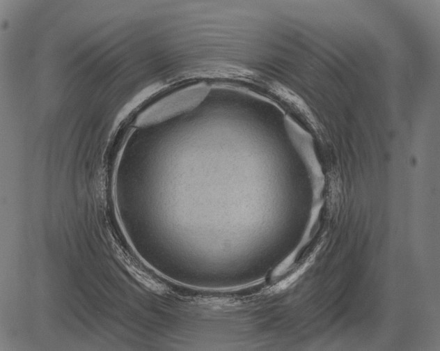 X0000082711114200702091740