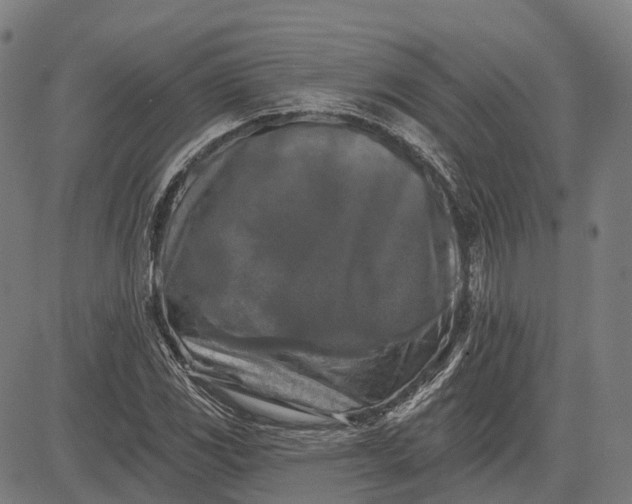 X0000082711117200702091740