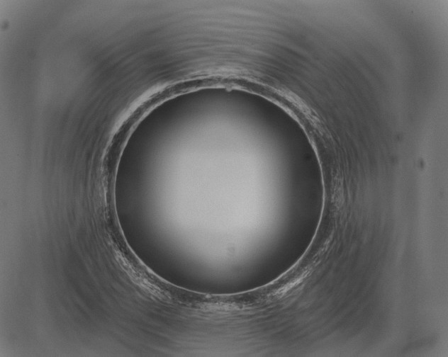 X0000082711118200702091741