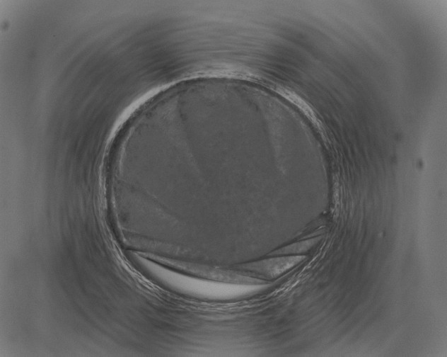 X0000082711120200702091741