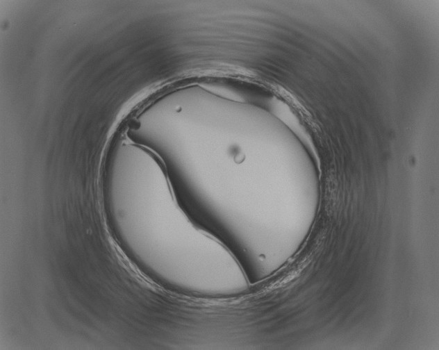 X0000082711122200702091741