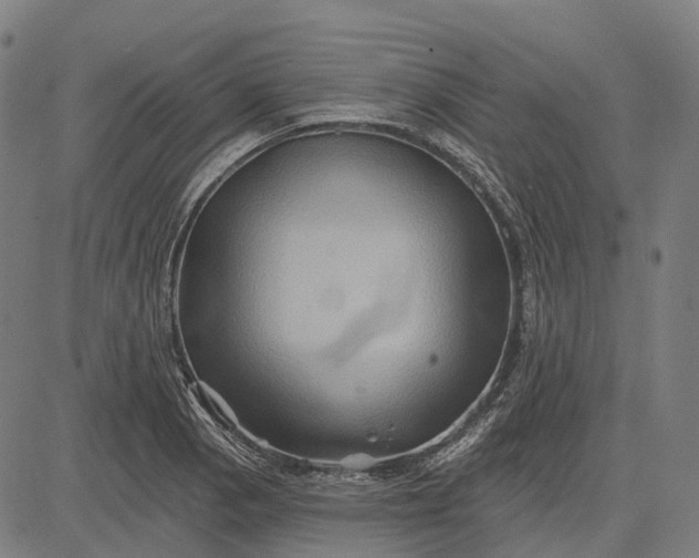 X0000082711129200702091741