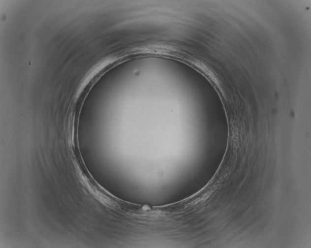 X0000082711131200702091741