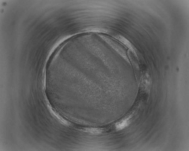 X0000082711132200702091741