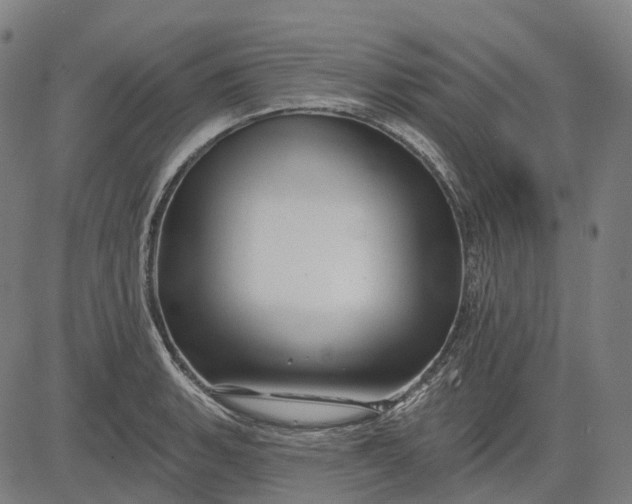 X0000082711135200702091741