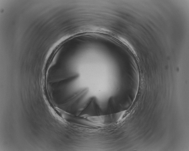 X0000082711136200702091741